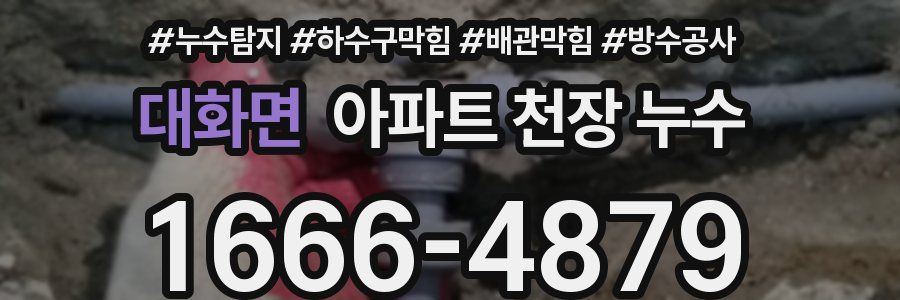 대화면 아파트 천장 누수