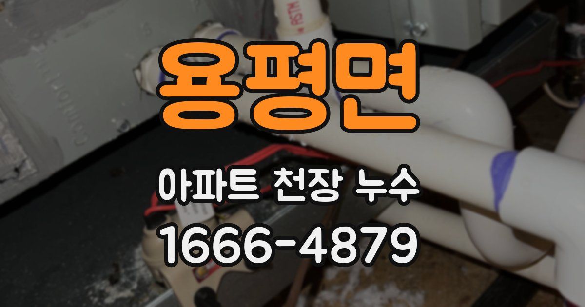 용평면 아파트 천장 누수