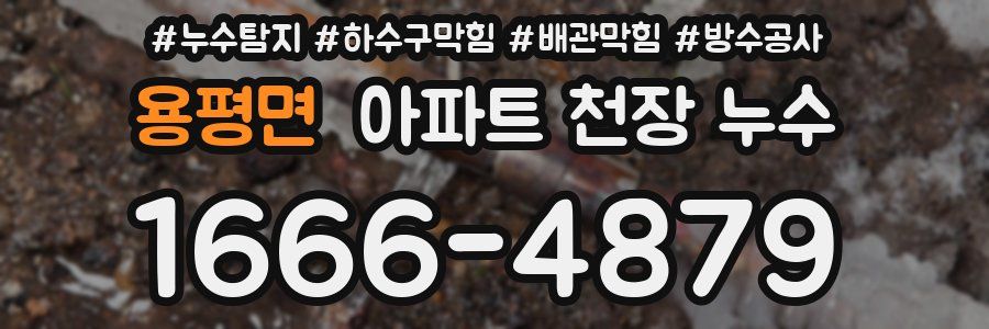 용평면 아파트 천장 누수