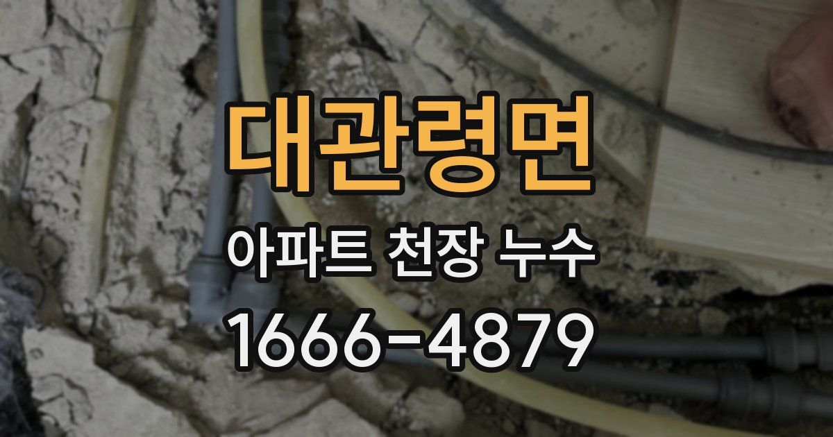 대관령면 아파트 천장 누수
