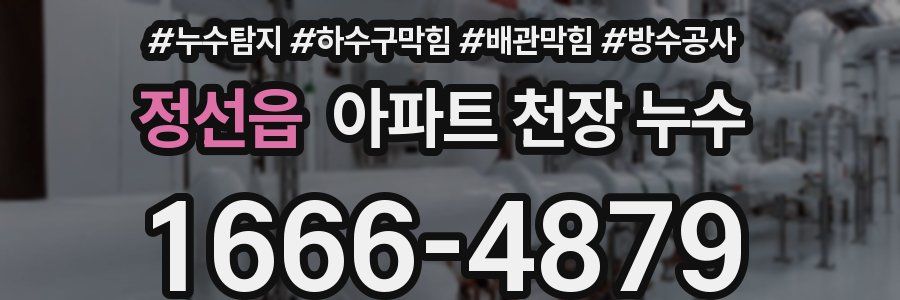 정선읍 아파트 천장 누수