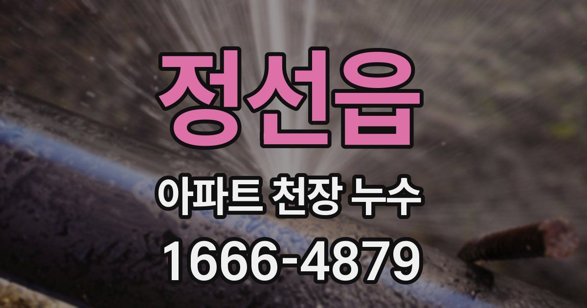 정선읍 아파트 천장 누수