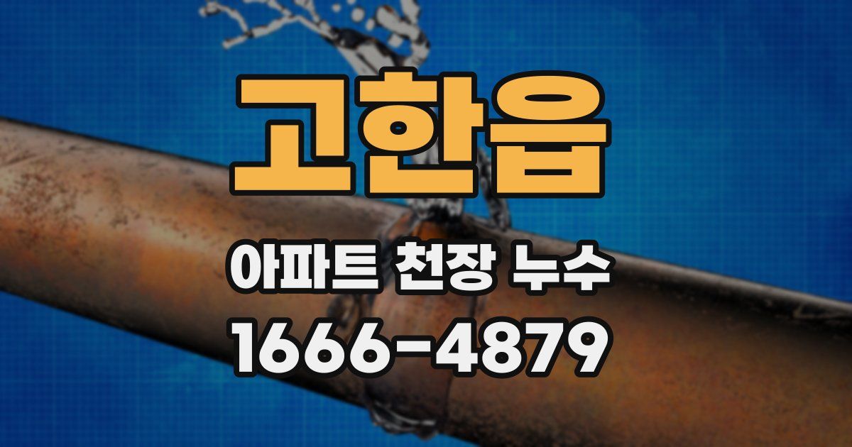 고한읍 아파트 천장 누수
