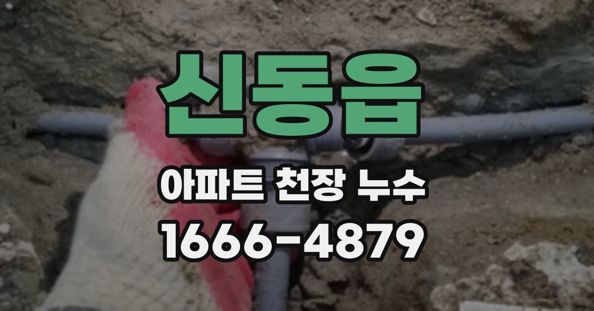 신동읍 아파트 천장 누수