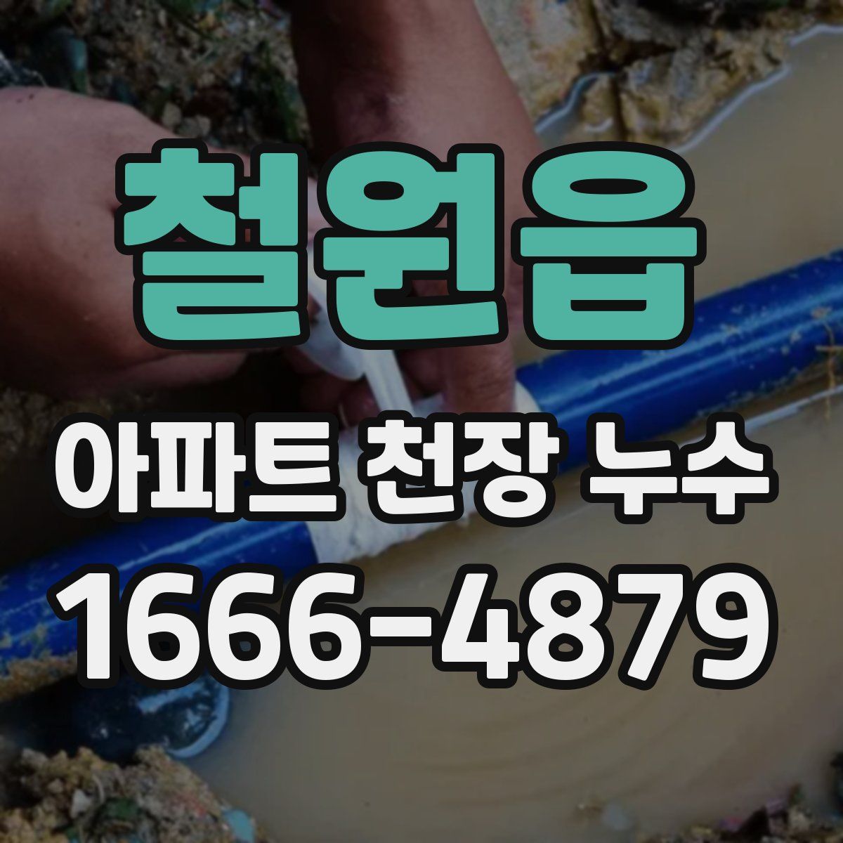 철원읍 아파트 천장 누수