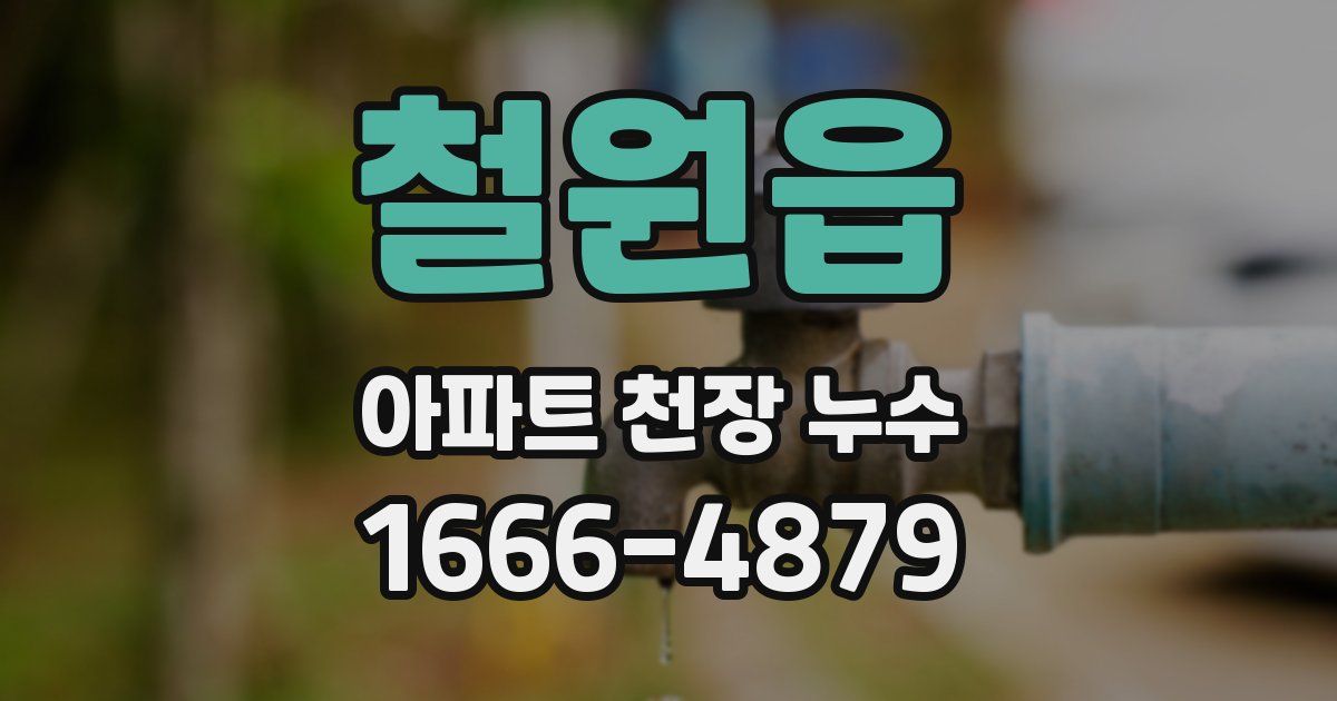 철원읍 아파트 천장 누수