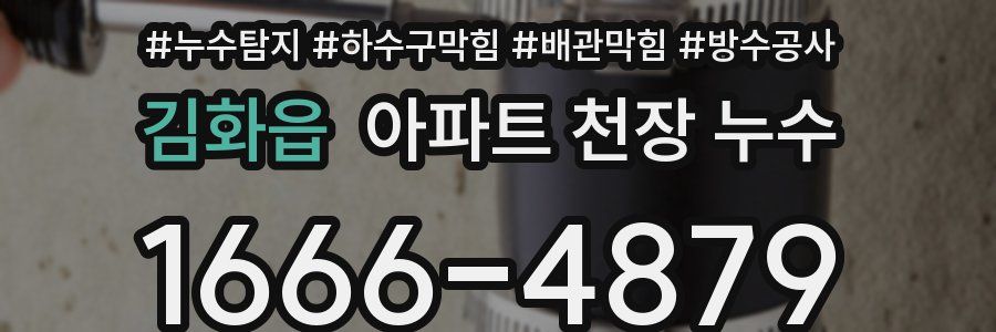 김화읍 아파트 천장 누수