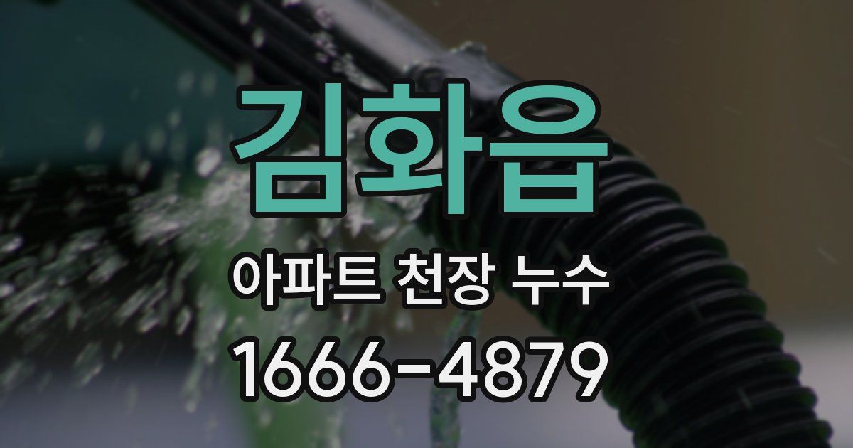 김화읍 아파트 천장 누수