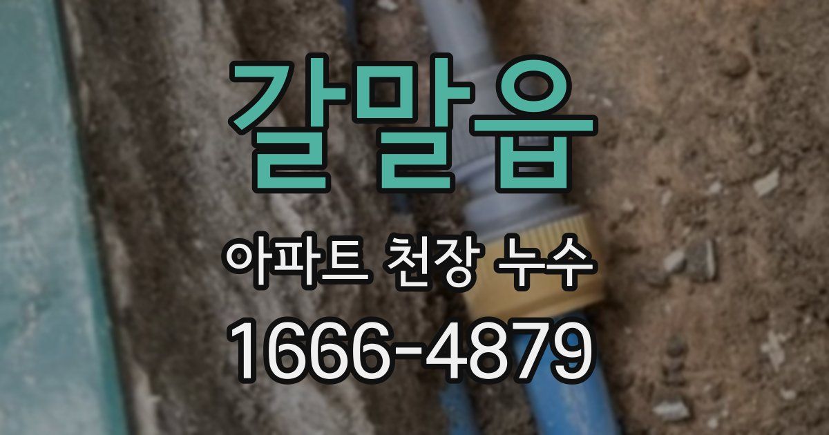 갈말읍 아파트 천장 누수
