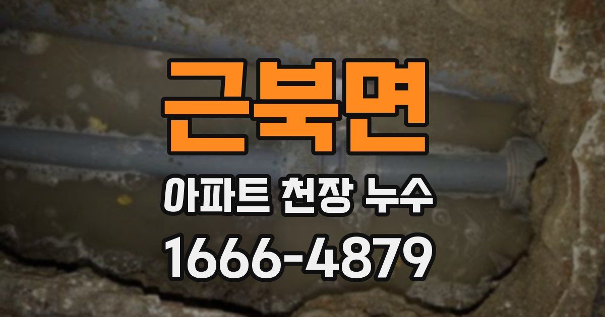 근북면 아파트 천장 누수