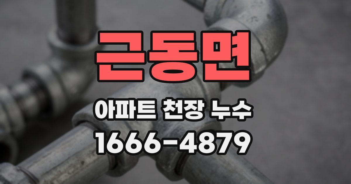 근동면 아파트 천장 누수