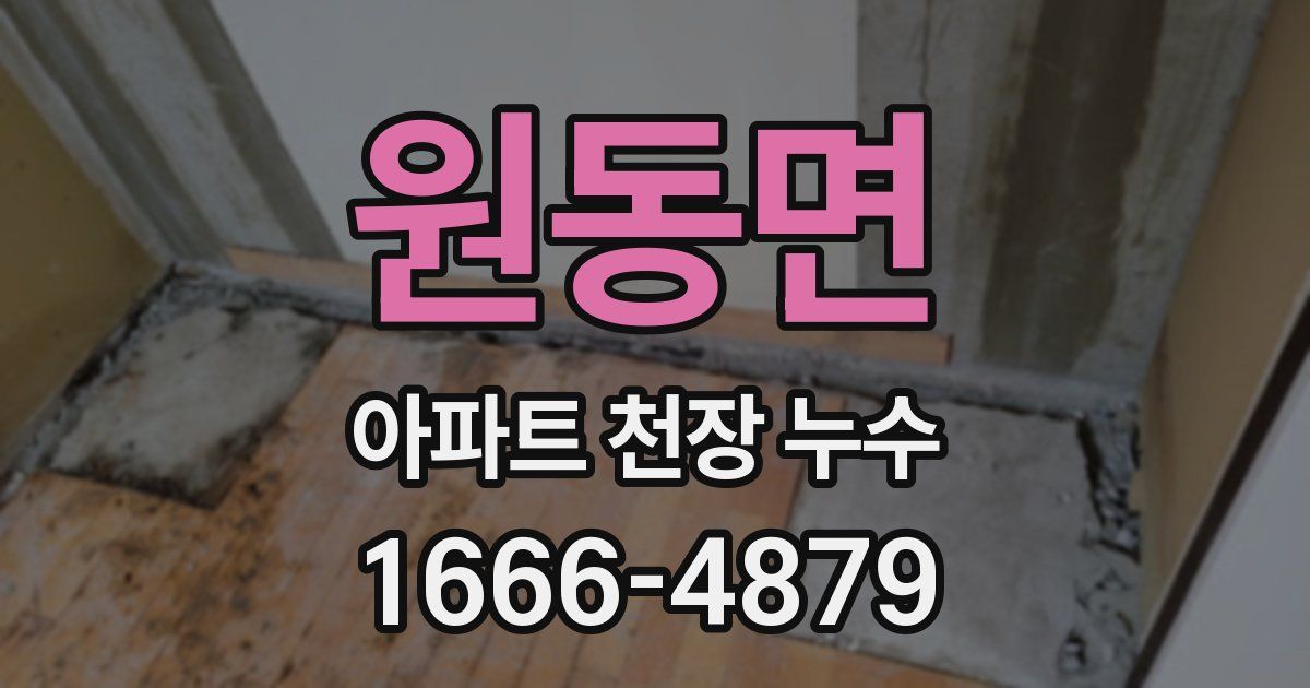 원동면 아파트 천장 누수