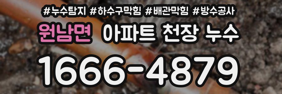 원남면 아파트 천장 누수