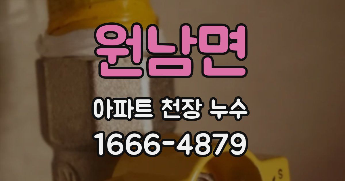 원남면 아파트 천장 누수