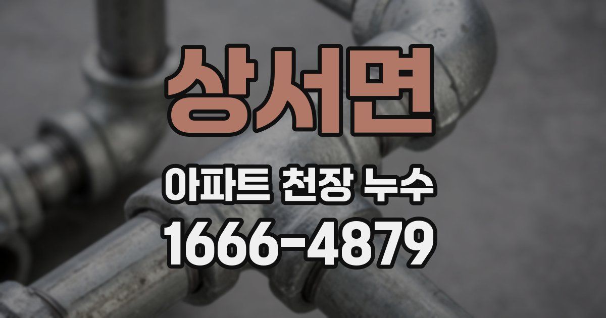 상서면 아파트 천장 누수