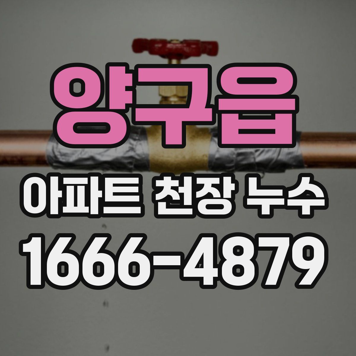 양구읍 아파트 천장 누수