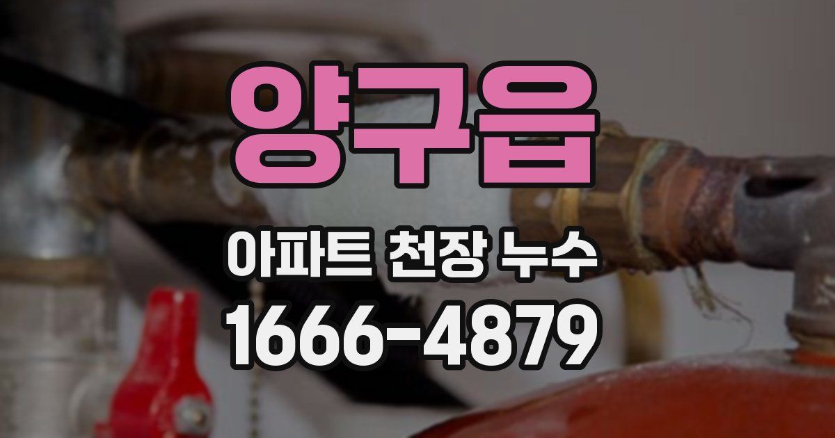 양구읍 아파트 천장 누수
