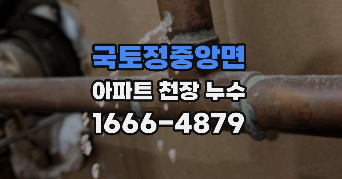 국토정중앙면 아파트 천장 누수