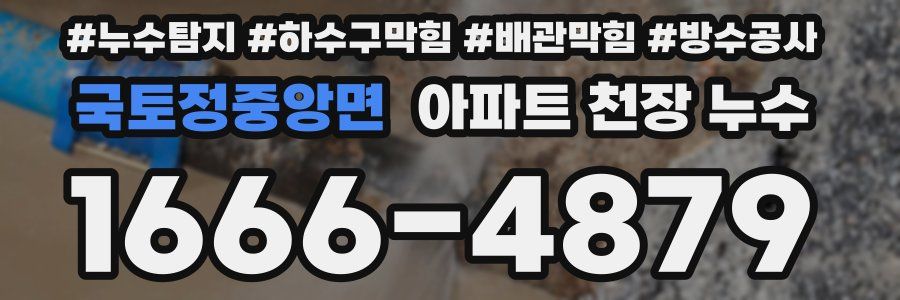 국토정중앙면 아파트 천장 누수