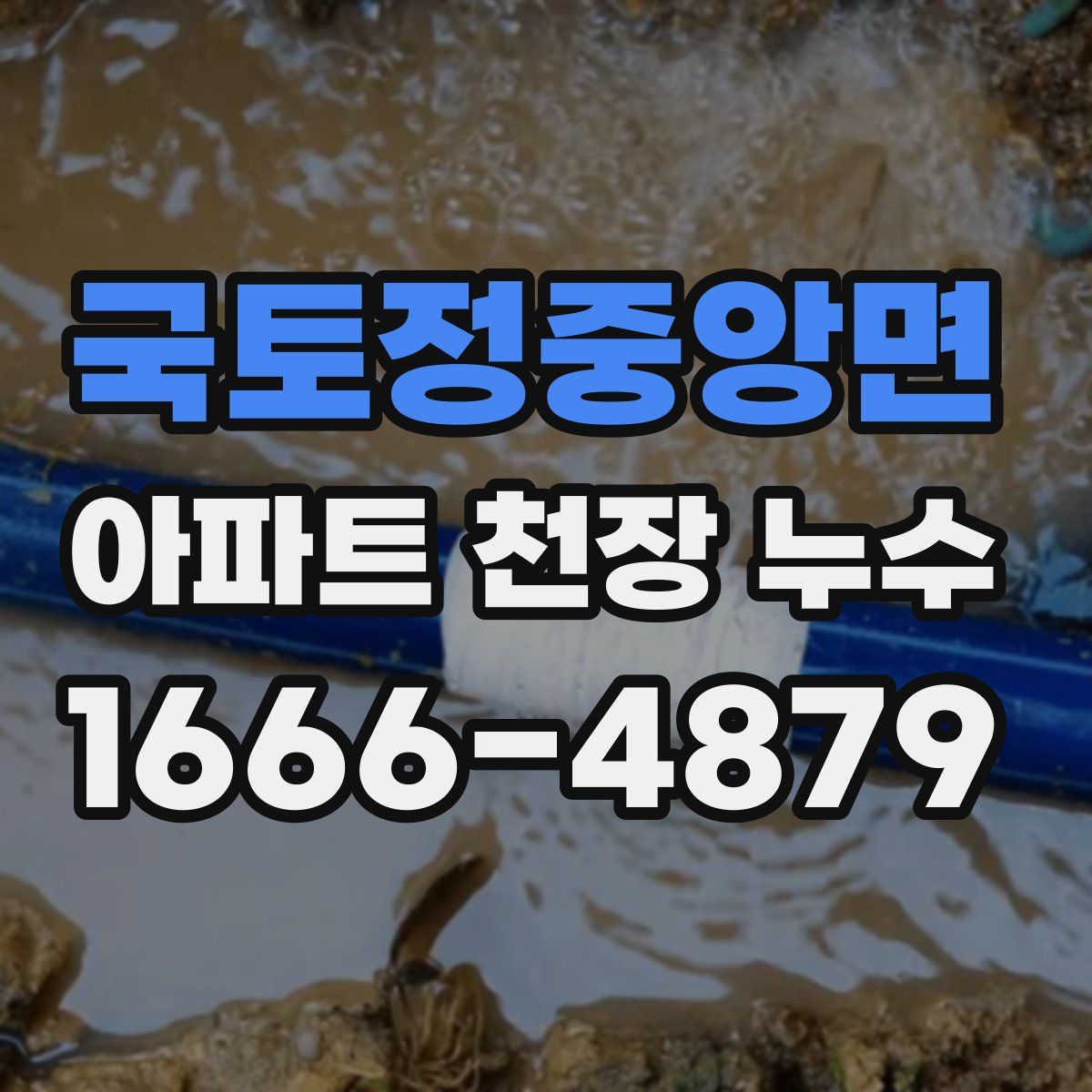 국토정중앙면 아파트 천장 누수