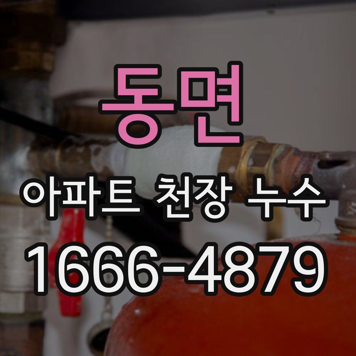 동면 아파트 천장 누수