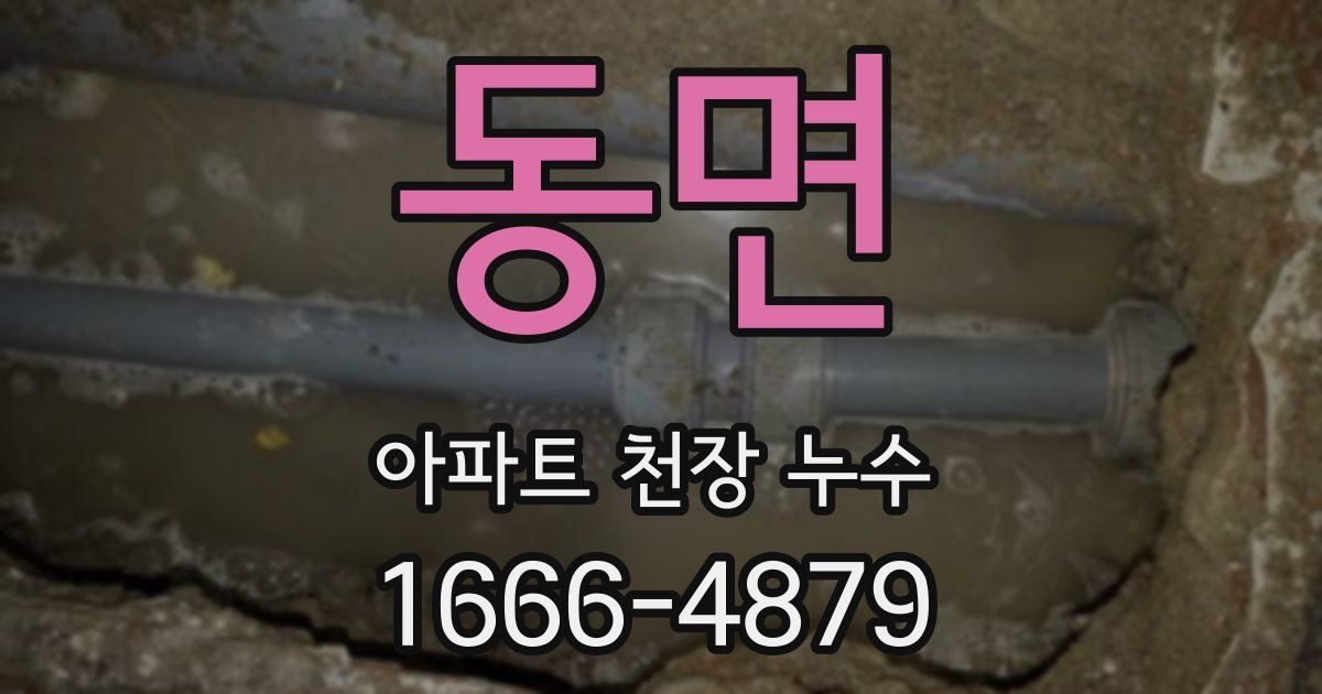 동면 아파트 천장 누수