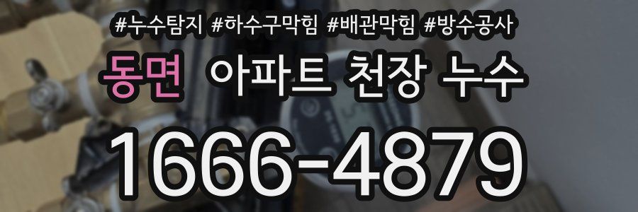 동면 아파트 천장 누수