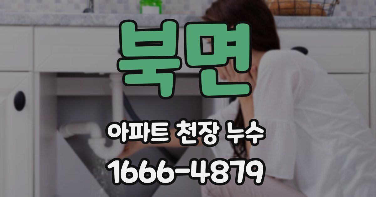 북면 아파트 천장 누수