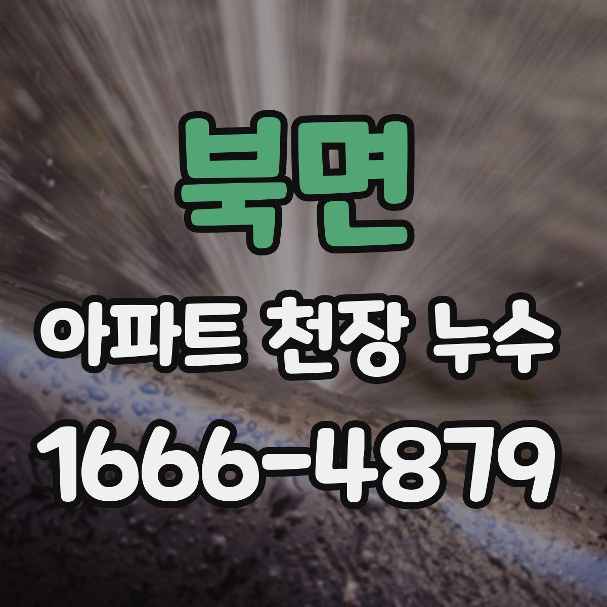 북면 아파트 천장 누수