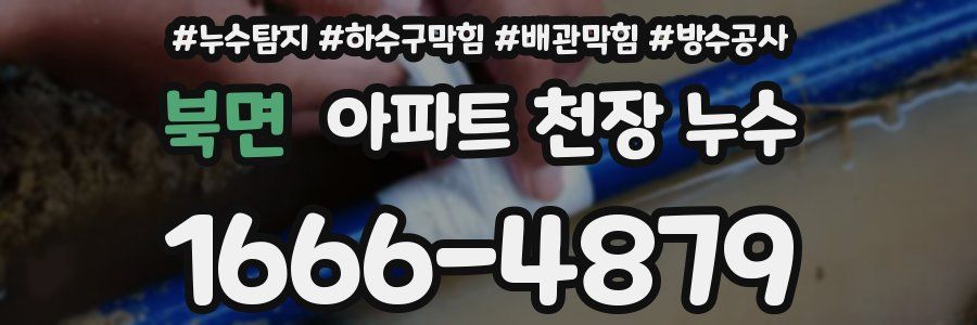 북면 아파트 천장 누수