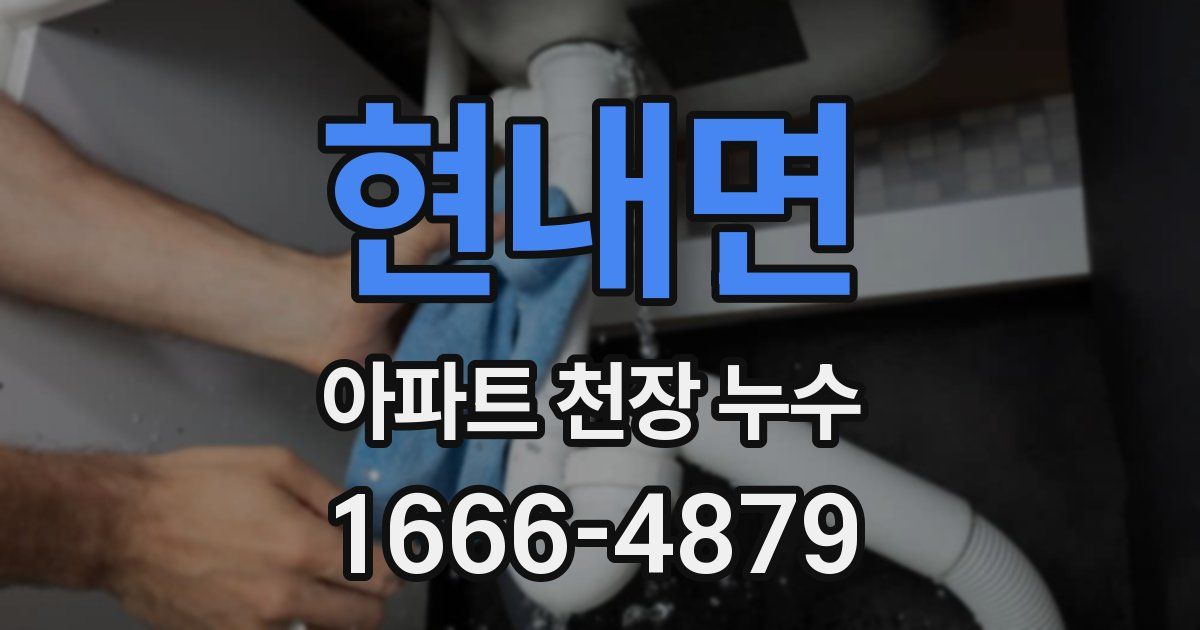 현내면 아파트 천장 누수