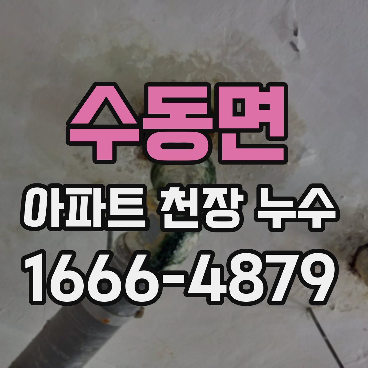 수동면 아파트 천장 누수