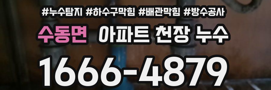 수동면 아파트 천장 누수