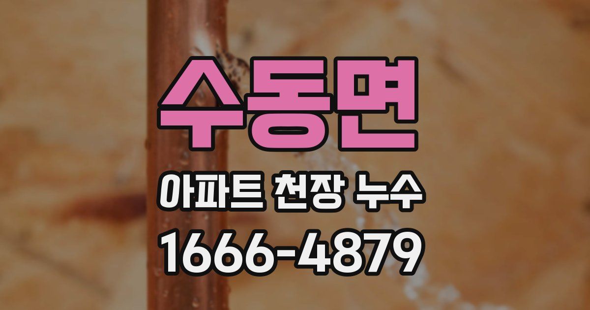 수동면 아파트 천장 누수