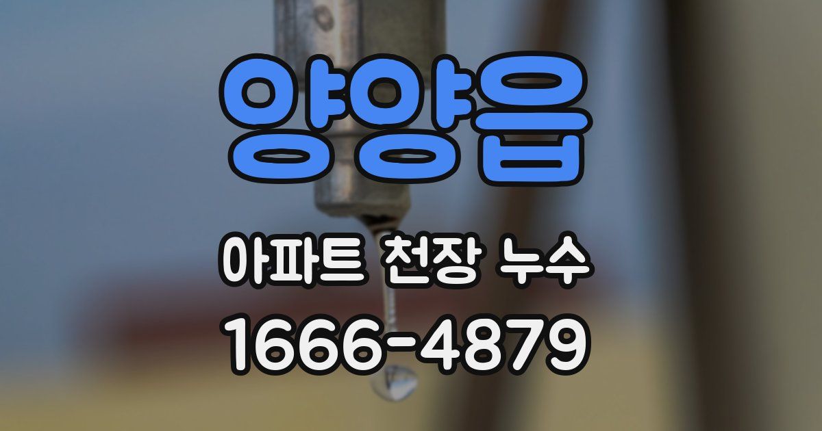 양양읍 아파트 천장 누수
