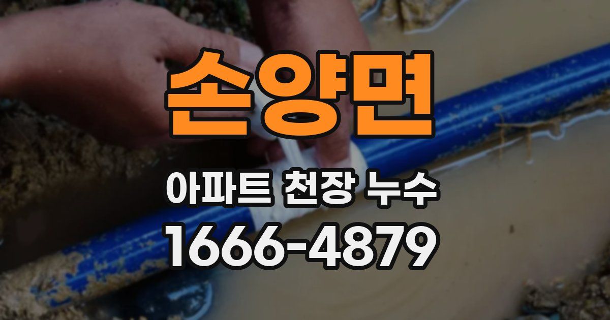 손양면 아파트 천장 누수