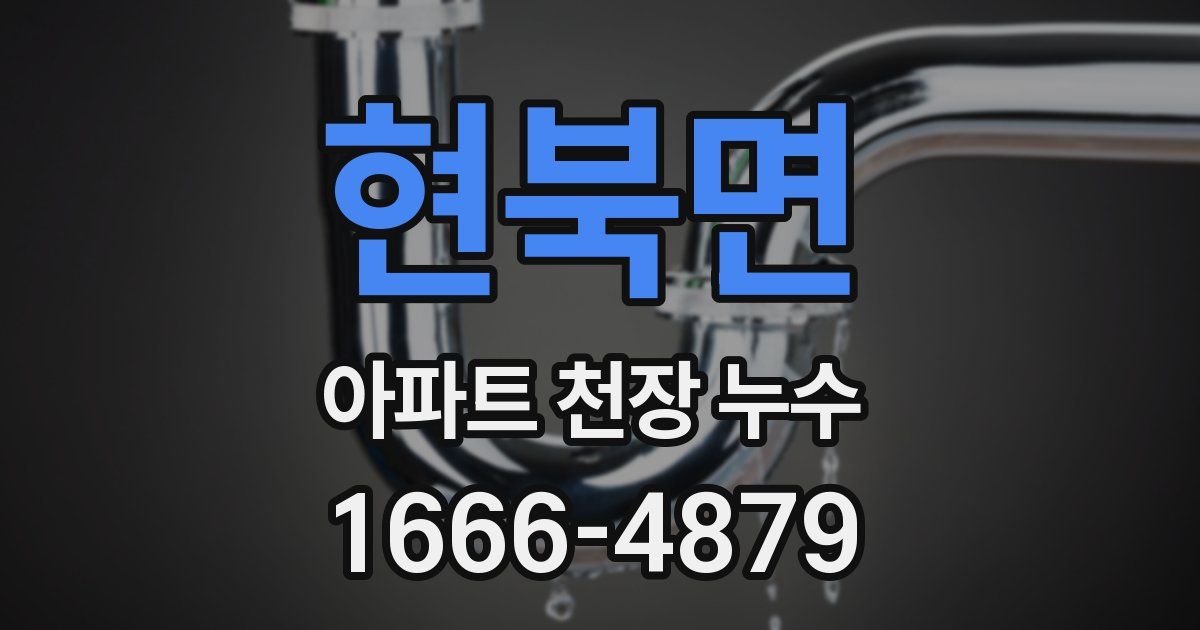 현북면 아파트 천장 누수