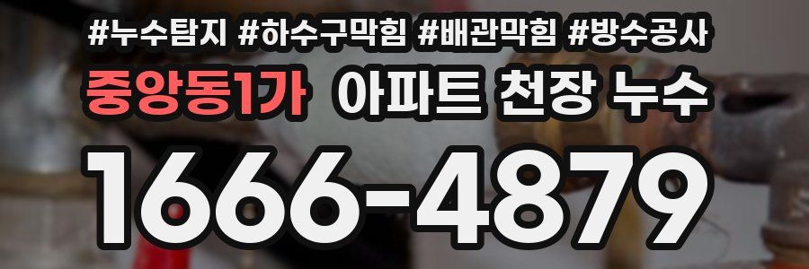 중앙동1가 아파트 천장 누수