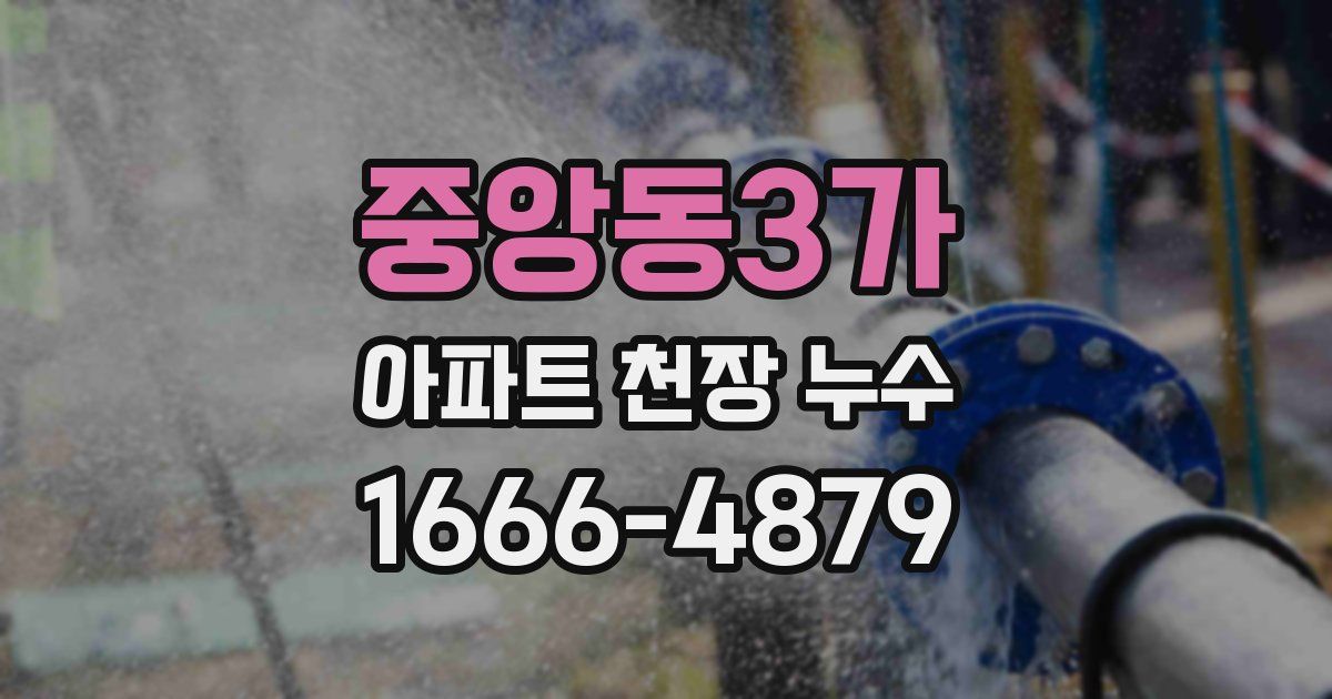 중앙동3가 아파트 천장 누수