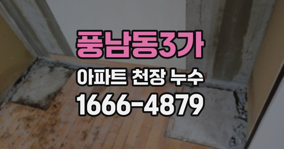 풍남동3가 아파트 천장 누수
