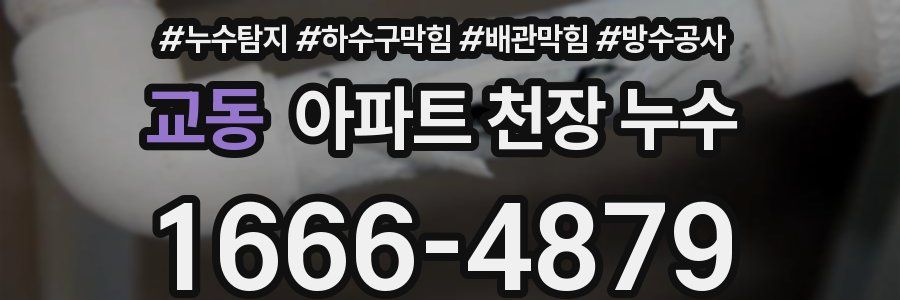 교동 아파트 천장 누수