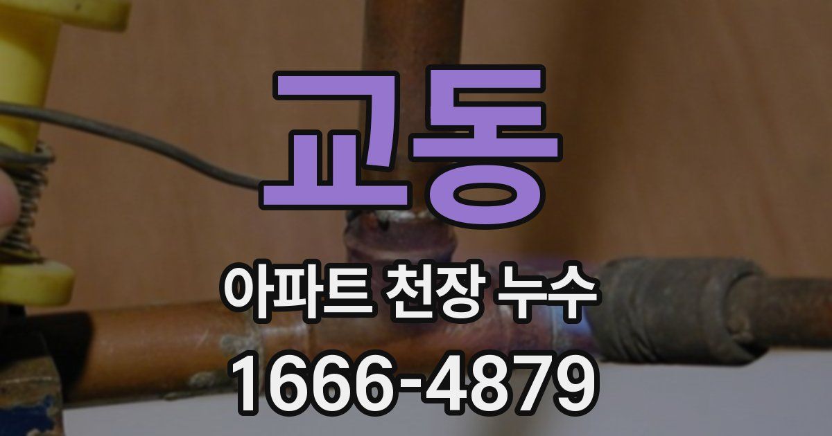 교동 아파트 천장 누수