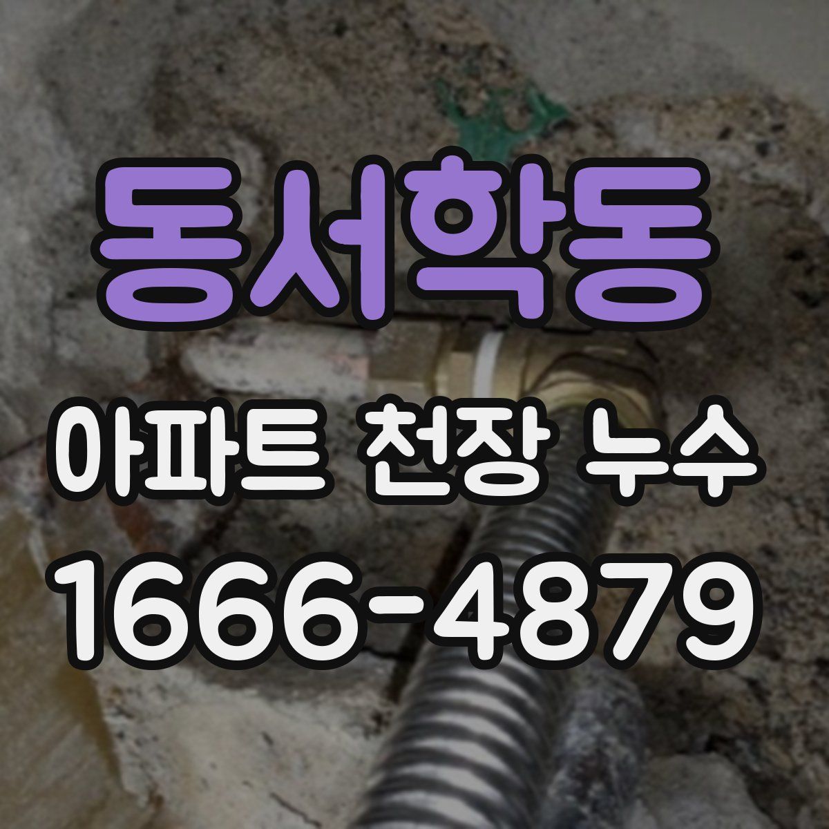 동서학동 아파트 천장 누수