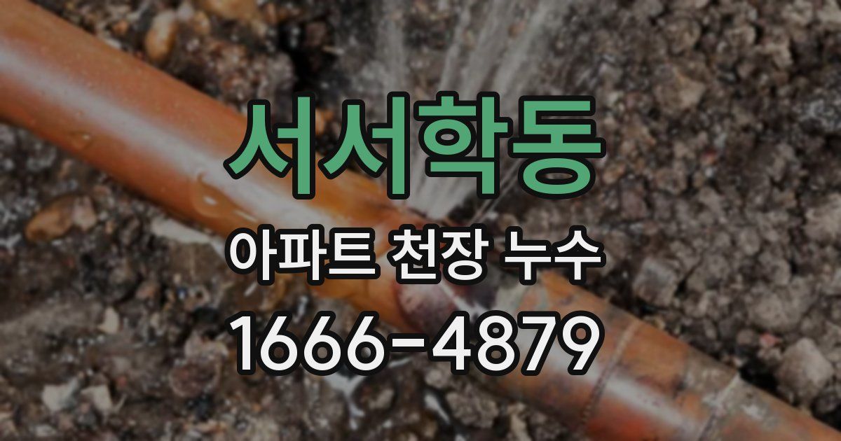 서서학동 아파트 천장 누수