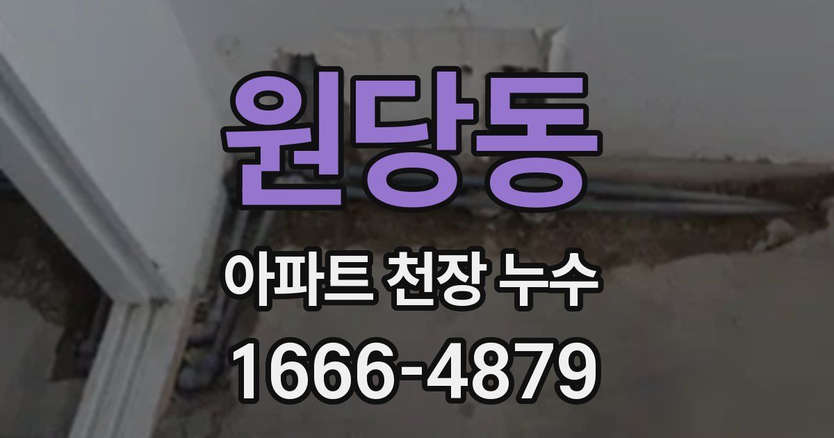 원당동 아파트 천장 누수