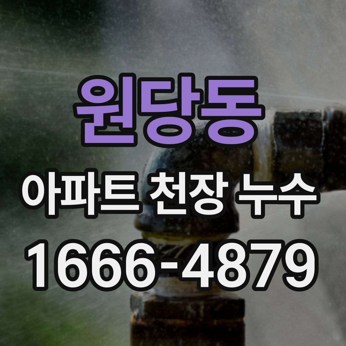 원당동 아파트 천장 누수