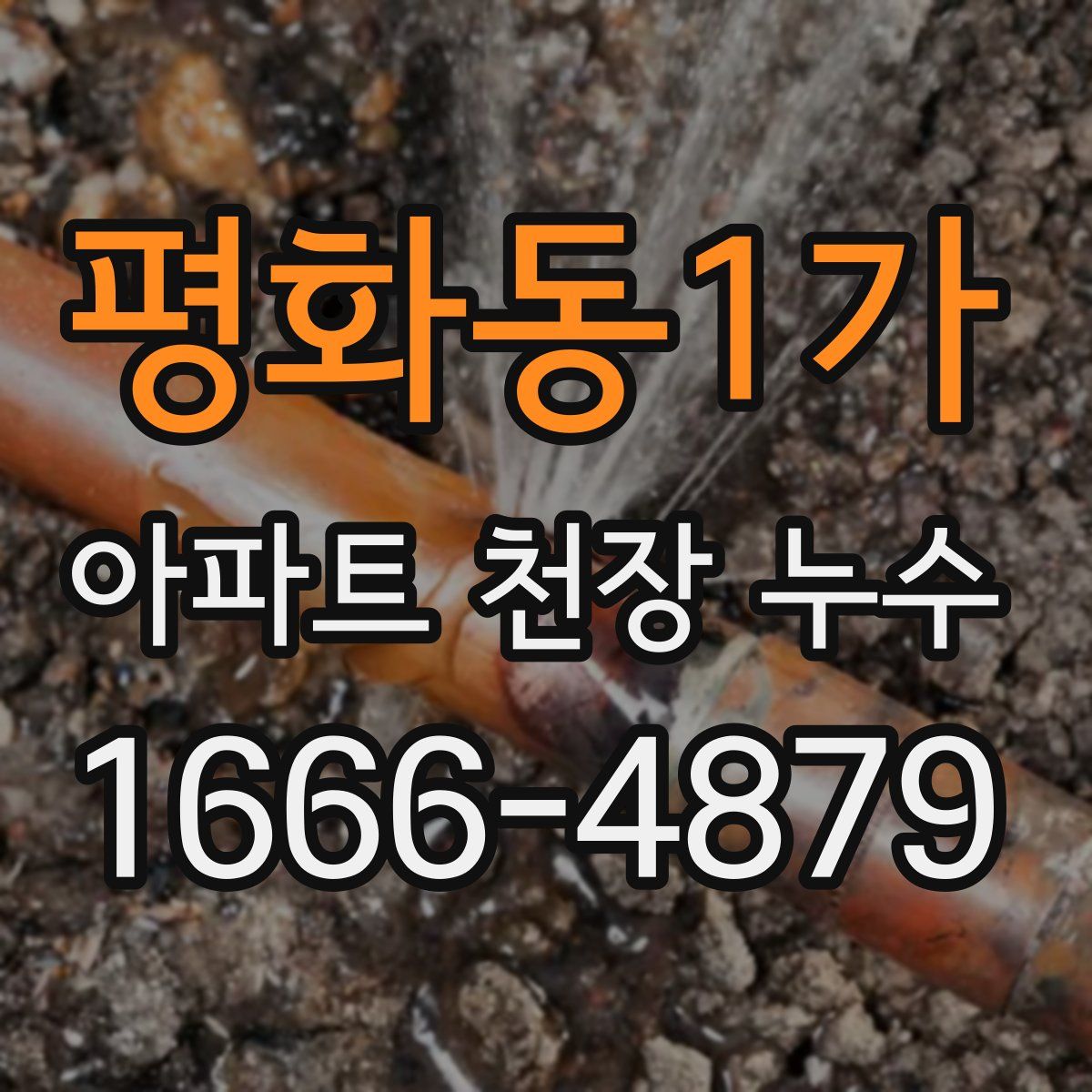 평화동1가 아파트 천장 누수