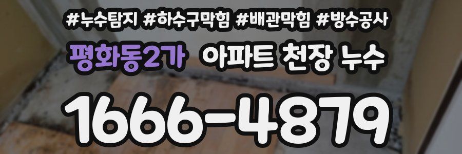 평화동2가 아파트 천장 누수
