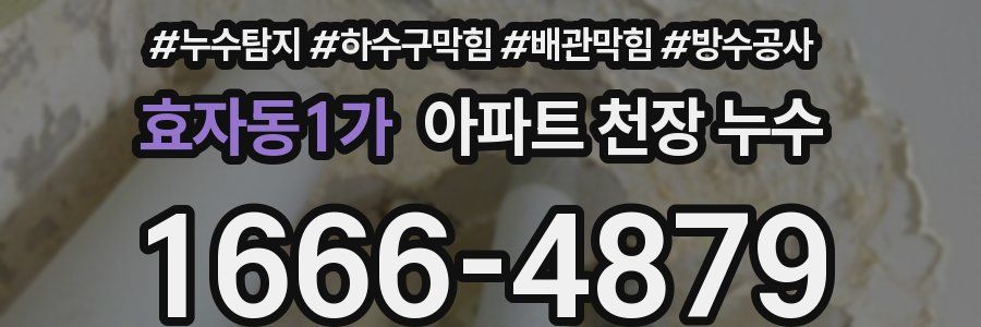 효자동1가 아파트 천장 누수