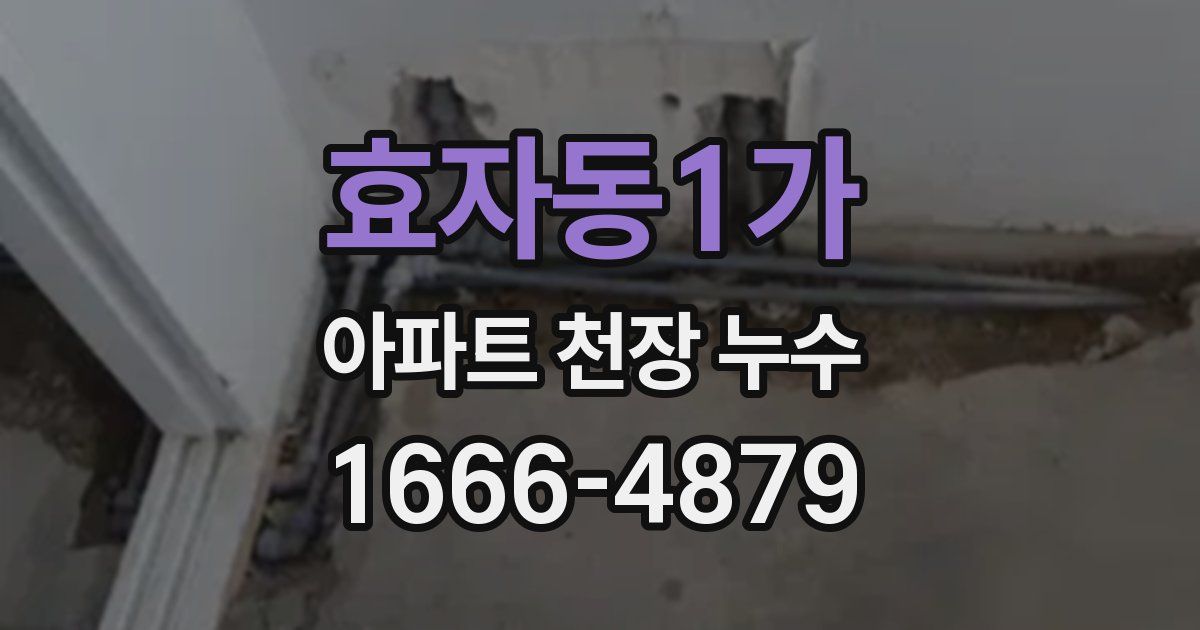 효자동1가 아파트 천장 누수